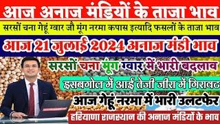 अनाज मंडी भाव| 21 जुलाई 2024 सरसों मूंग चना ग्वार में भारी बदलाव|नरमा गेहूं भारी उलटफेर| Mandi Bhav,