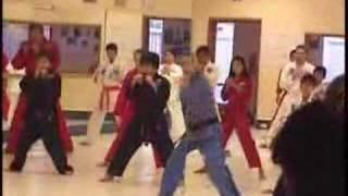 Grandmaster Hee Il Cho Teaching at 67 - Tae Kwon Do