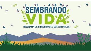 Participación de técnicos y técnicas sociales. Programa Sembrando vida