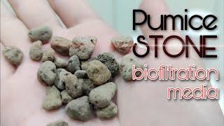 Stream Tank - Pumice Stone Biofiltration Media [Eng Subs]