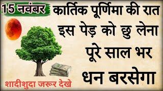 15 नवंबर कार्तिक पूर्णिमा की रात पर इस वृक्ष को छू कर आ जाना तत्काल गरीबी मिटती है आगे आपकी मर्जी