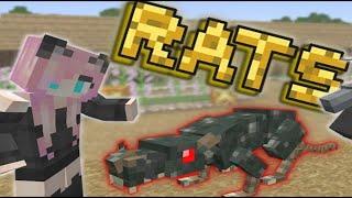 Rats mod. Part 1. Tutorial / Guide (minecraft java edition)