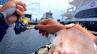 Fishing Melbourne - Pinky Snapper on Lures!