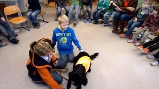 Therapiehund besucht Schule