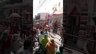 Mata beri wale darshan  live 