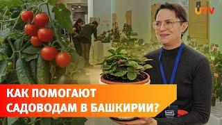 Полмиллиона лучшим СНТ и экзотические растения. В Уфе проходит форум Смарт-садовод