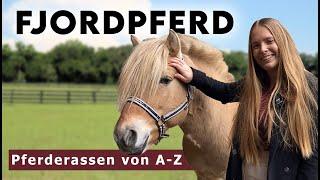 Pferderassen von A-Z | 𝗙𝗷𝗼𝗿𝗱𝗽𝗳𝗲𝗿𝗱𝗲 - Alles über die Rasse & Zucht