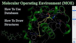 Using Databases And Drawing Structures In MOE | MOE Tutorial