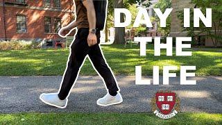 A Day as a Harvard Physics PhD Student