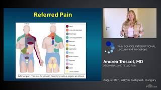 PainCast Preview: Dr. Andrea Trescot: Abdominal and Pelvic Pain