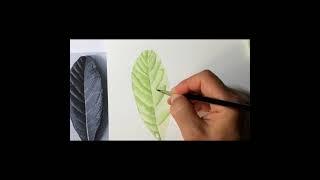 How to paint a realistic leaf tutorial