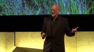 Life is Art | David Alan Harvey | TEDxVerona