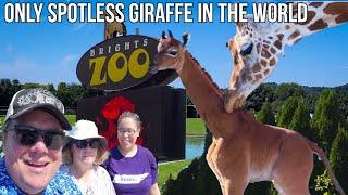 Brights Zoo World's Only Spotless Giraffe Limestone Tennessee Complete Walkthrough Hidden Gem
