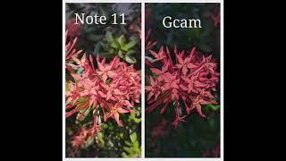 (MALAYALAM)REDMI NOTE 11 GCAM VS STOCK CAMERA|| BEST GCAM FOR REDMI NOTE 11