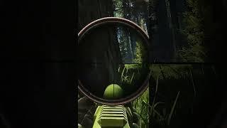 DVL IS DOING WORK ON WOODS - ESCAPE FROM TARKOV