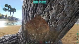 How to hold wood to make wooden raft - ARK: Survival Evolved