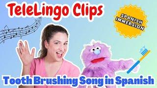 Brush Your Teeth with Lily | Tooth Brushing Song in Spanish | TeleLingo Clips