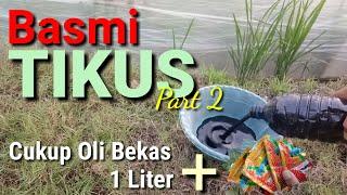 Basmi Tikus dengan OLI BEKAS + _ Part 2