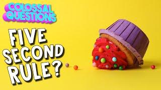 Is The “5 Second Rule” Real? | COLOSSAL QUESTIONS