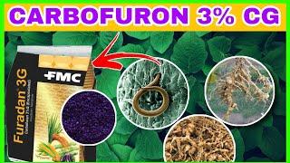 FMC furadan3G | Carbofuron 3% CG | Crystal Furadan3G | NACL Fury3G | IIL Sumo3G | Uses | Tamil