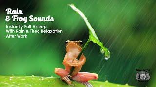 Rain and Frog Sounds For Sleeping - Instantly Fall Asleep With Rain and Tired Relaxation After Work