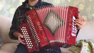 Fever F3112-RD button accordion bass notes