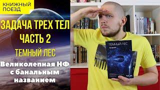 ‍️ ТЕМНЫЙ ЛЕС || Обзор книги Лю Цысиня || Прочитанное