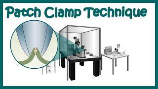 Patch clamp | Electrophysiology | Patch clamp method | Voltage clamp | whole cell recording