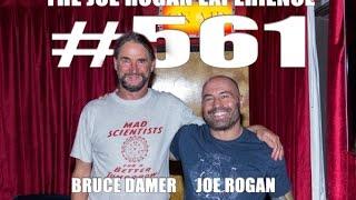 Joe Rogan Experience #561 - Bruce Damer