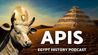 The Most Sacred Animal in History? APIS Bull Full Story | Egypt History Podcast