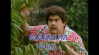 Magnum PEI - SCTV - 1982