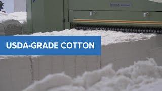 Making Apparel Better with USDA-grade Cotton | Gildan