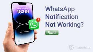 Notifikasi WhatsApp Tidak Berfungsi? Inilah Cara Memperbaikinya