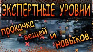 DIVISION 2  ЭКСПЕРТНЫЕ УРОВНИ | НОВАЯ ПРОКАЧКА ХАРАКТЕРИСТИК | ОБНОВЛЕНИЕ 15  ПТС