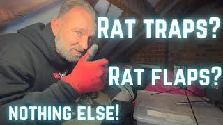 RAT TRAPS & RAT FLAPS is all we need!!! IDIOT customer!!!!