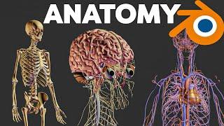 Free human anatomy in blender | Z Anatomy | Munish Kumar