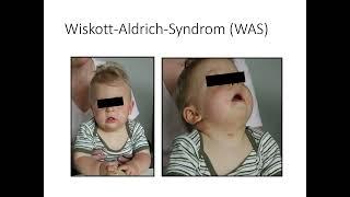 Teil 3: Allgemeine und syndromale Befunde