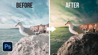 Improve Your Color Grading Using Masking in Photoshop Camera Raw