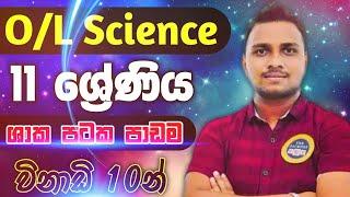 O/L Science Sinhala | Grade 11 Science | ජීවී පටක | Unit 1 | 11 ශ්‍රේණිය 1 පාඩම | 11 විද්‍යාව | 2021