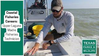 Coastal Fisheries Careers | Upper Laguna Madre Fisheries Technician