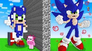 I Cheated With SONIC in Minecraft Build Battle!