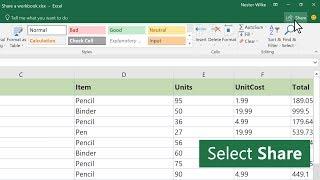 Share a workbook in Excel