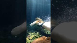 Underwater Swim Beautiful Girl  #shorts #viral #trending