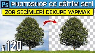 120: Zor Seçimleri Dekupe Etmek | Ağaç Dekupe | Arka Planı Silme | Photoshop Dersleri