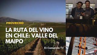 Ruta del Vino en Chile: Conoce la bodega Concha y Toro  #Prov #VideosEC