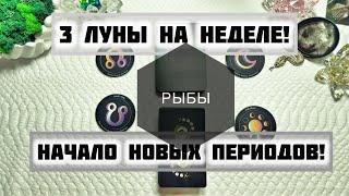 Рыбы ️ Таро прогноз с 13 по 19 Января 2025