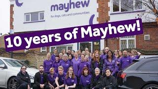 A Decade At Mayhew | Mayhew