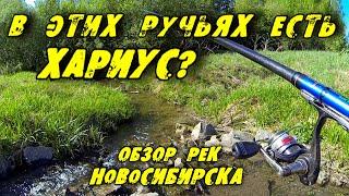 В этих ручьях Есть Хариус? Обзор рек Новосибирска. Рыбалка на Хариуса
