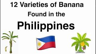 12 Different Variety of Philippine Bananas