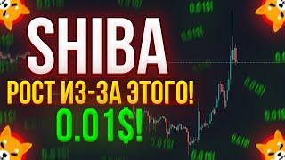 МАССИВНОЕ СЖИГАНИЕ SHIBA В ЭТО МЕСЯЦЕ! ПОКУПАЙТЕ ШИБА! - ВОТ ПОЧЕМУ